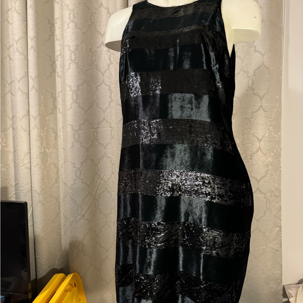 Banana Republic Velvety Dress